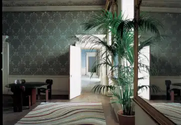 Mua loại thảm trải sàn đón năm mới