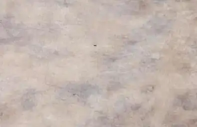 Sàn nhựa giả đá Galaxy 3002