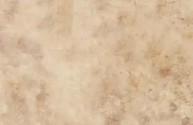 Sàn nhựa giả đá Galaxy 3006