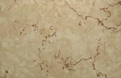 Sàn nhựa giả đá Deluxe 2005