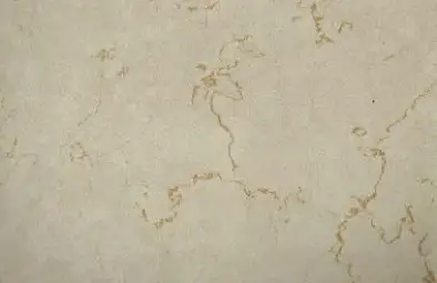 Sàn nhựa giả đá Deluxe 2024