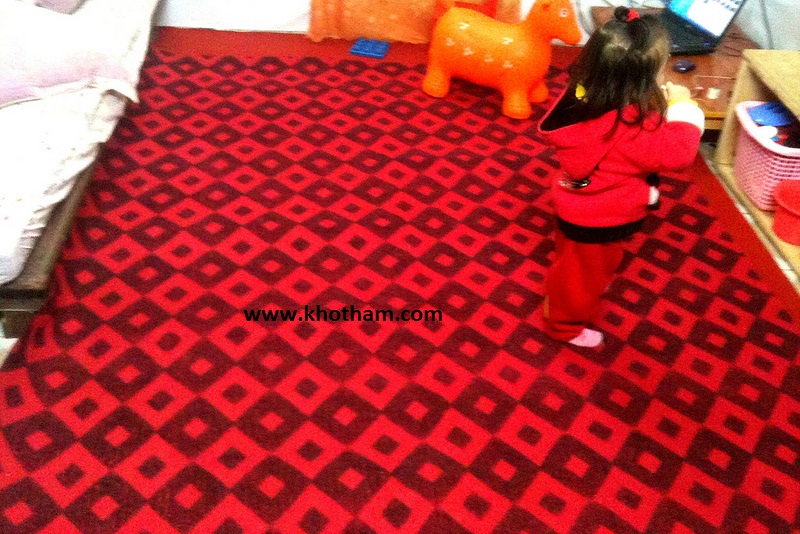 thảm nỉ hình quả trám 2